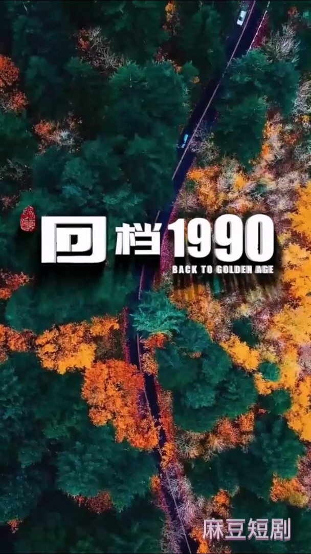 回档1990合集版海报剧照