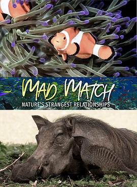 疯狂拍档：自然界最神奇的友谊海报剧照