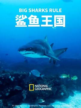 鲨鱼王国海报剧照