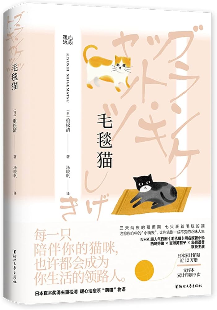 毛毯猫海报剧照