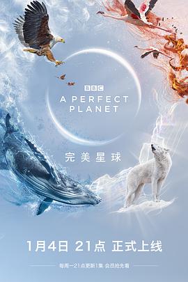 完美星球（英语）海报剧照