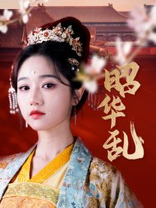 昭华乱海报剧照