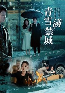 青雪满禁城海报剧照